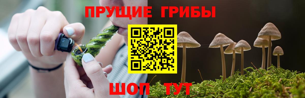 Нижний Новгород  Псилоцибиновые грибы ЛСД  Псилоцибиновые грибы мицелий  Вход с VPN 