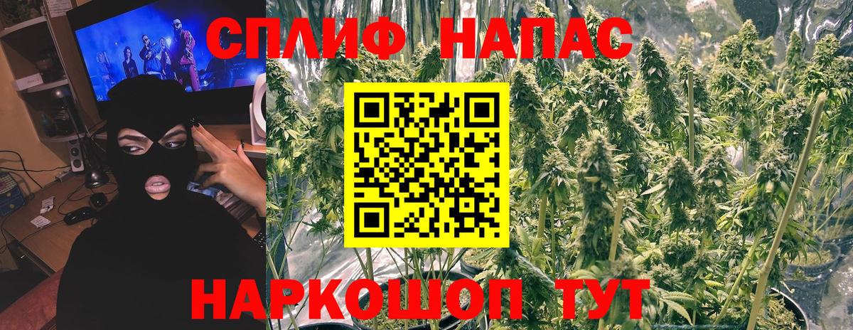 Нижний Новгород  Бошки Шишки сатива  Канабис тримм  Вход с VPN 